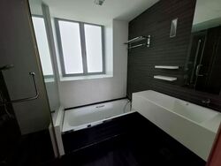 Park Infinia At Wee Nam (D11), Condominium #639944881